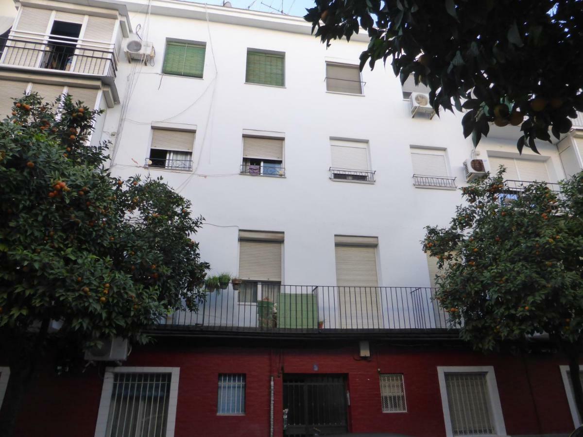 Esencia Sevilla Экстерьер фото